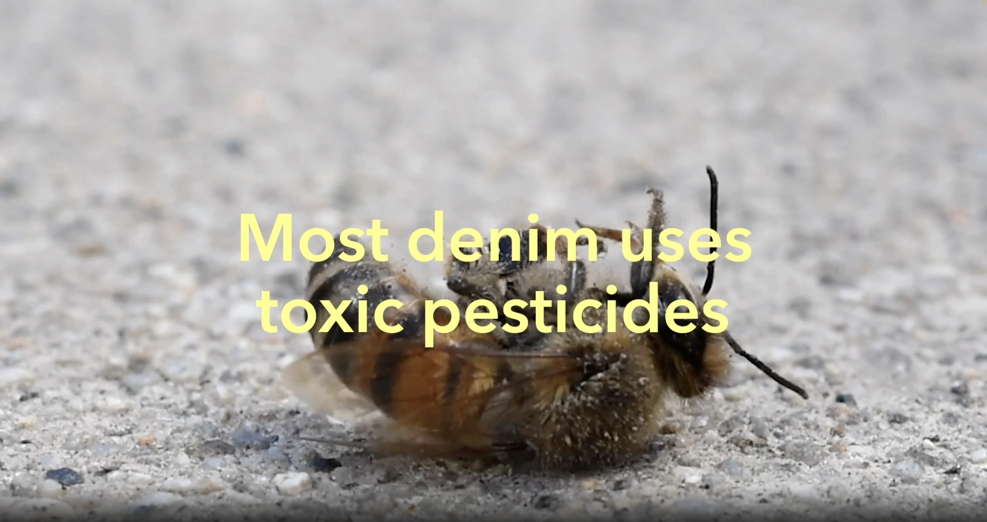 Detox Denim